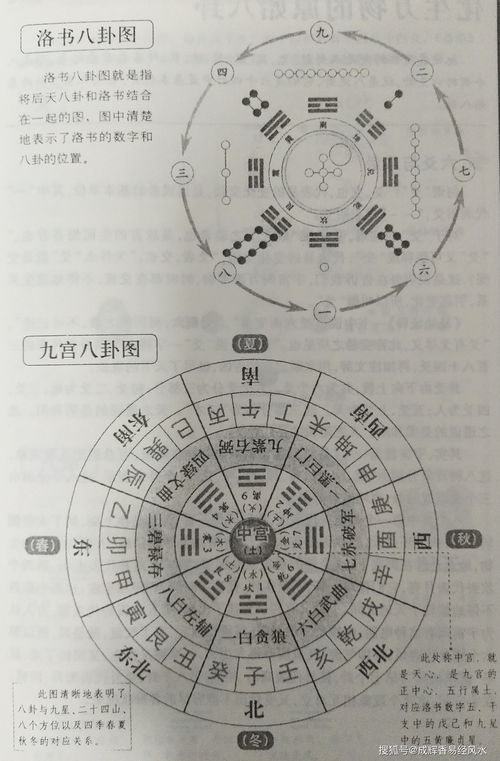 文王八卦和伏羲八卦有何区别八卦与有何八卦的区别