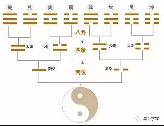 栾加芹易经经络使用手册^^^不生病的智慧4^^^不生病的智慧_易经阴阳之道_易经阴阳八卦的智慧解释