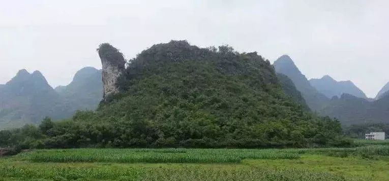 风水入门书单_风水罗盘应用经验学从入门新手到风水高手的必读书_心理学专业入门书单