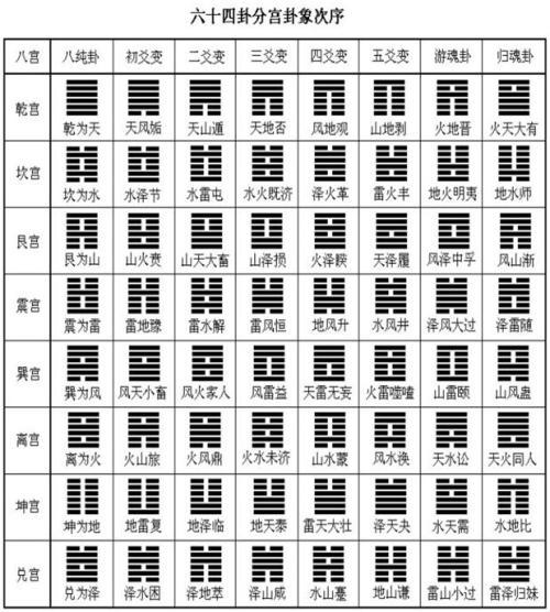 八卦兔易经占卜_先后天八卦占卜应用_八卦占卜免费算命