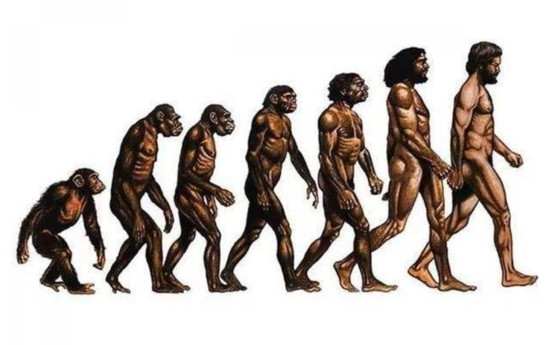 人类到底来自哪里？“古猿起源”和“外星起源”，哪个更靠谱？