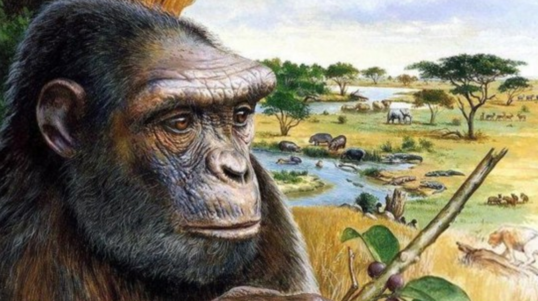 人类到底来自哪里？“古猿起源”和“外星起源”，哪个更靠谱？