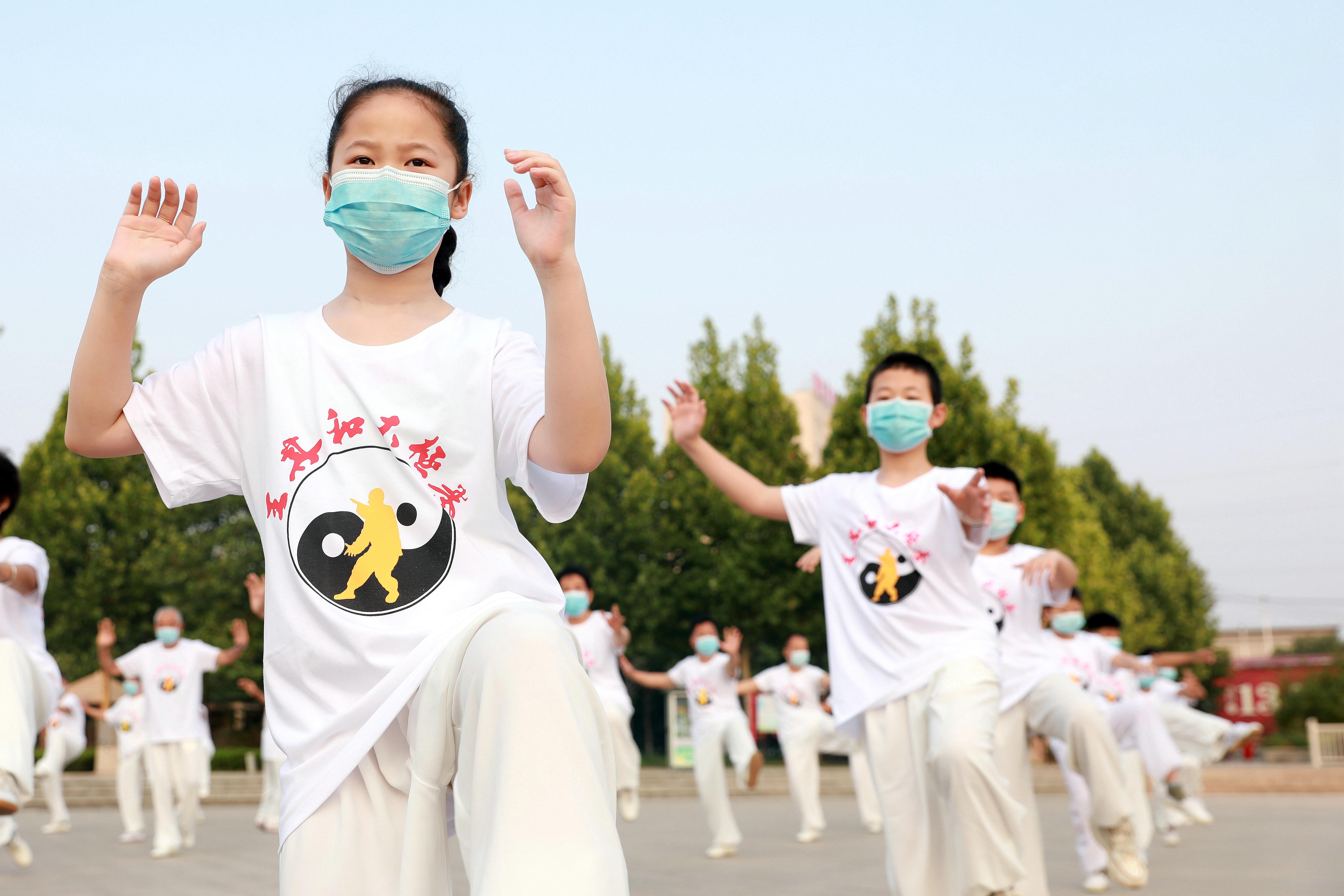 八卦莲花掌 ts_八卦掌基础入门_八卦莲花掌电影女主角