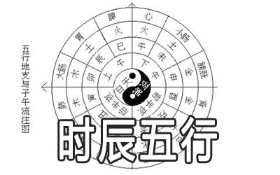 巳时生辰八字_巳时生人的命运解析_怎么看八字属什么