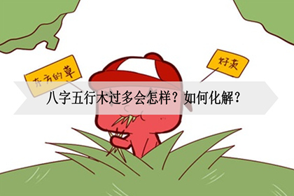 五行木过多是什么意思？缺木怎么办？