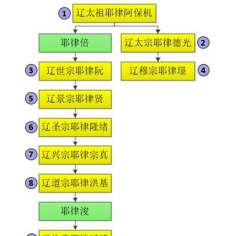 西夏大辽腰牌图_辽 西夏金哪个强_辽宋夏金