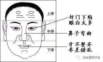 风水相术入门书籍_学风水相术_经典风水相术小说完本推荐