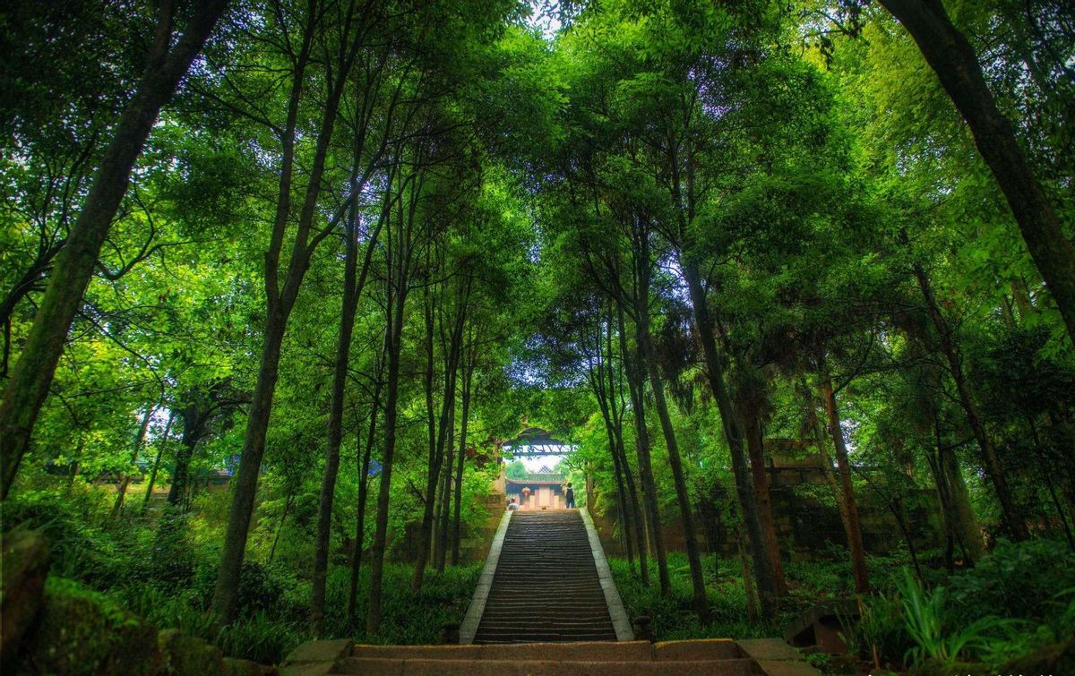 青城山道教发源地_青城山道教传承_青城前山的道教历史文化