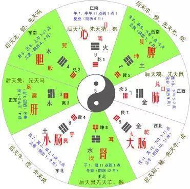 天干地支在六爻中运用_六爻地支_六爻天干地支基础知识